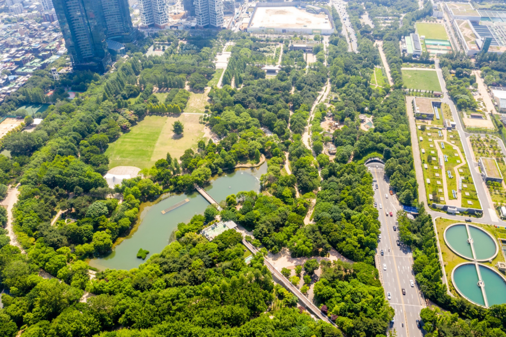 Discover Seoul Forest: A Hidden Gem in the Heart of Seoul