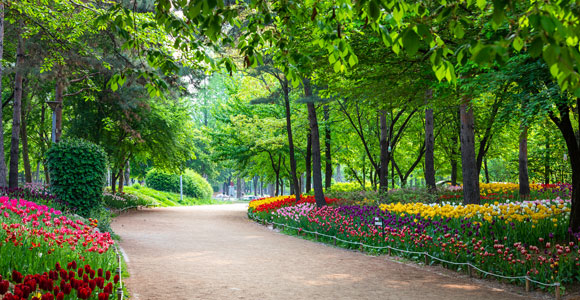 Discover Seoul Forest: A Hidden Gem in the Heart of Seoul