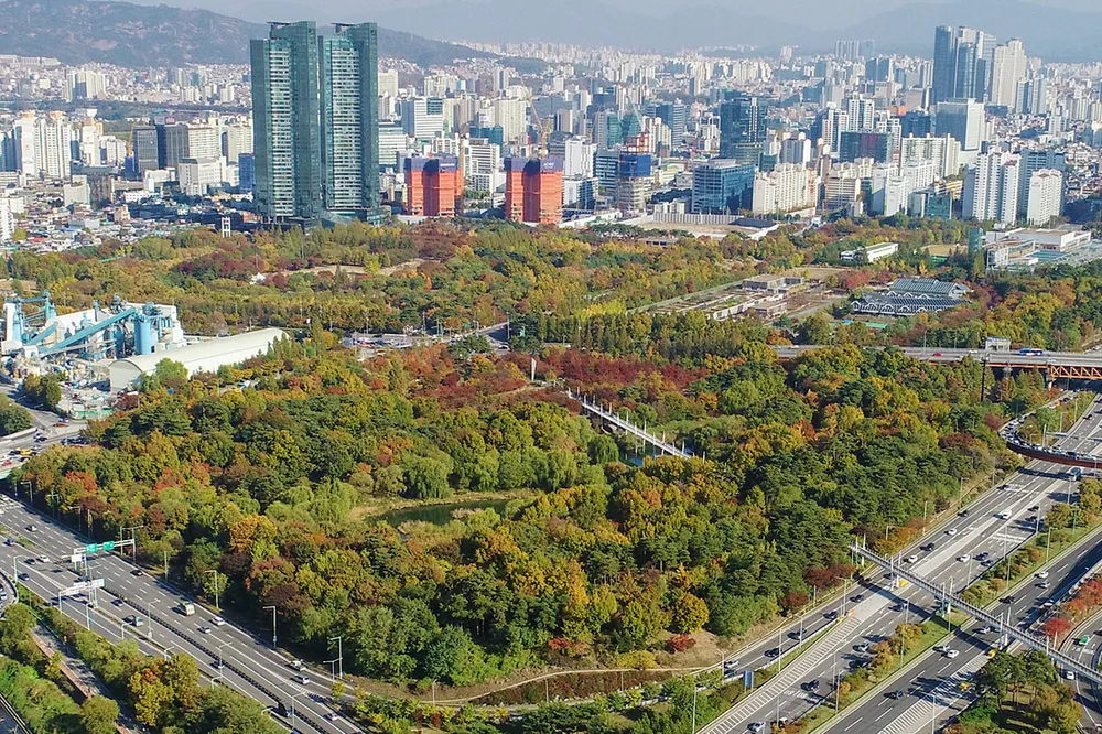 Discover Seoul Forest: A Hidden Gem in the Heart of Seoul