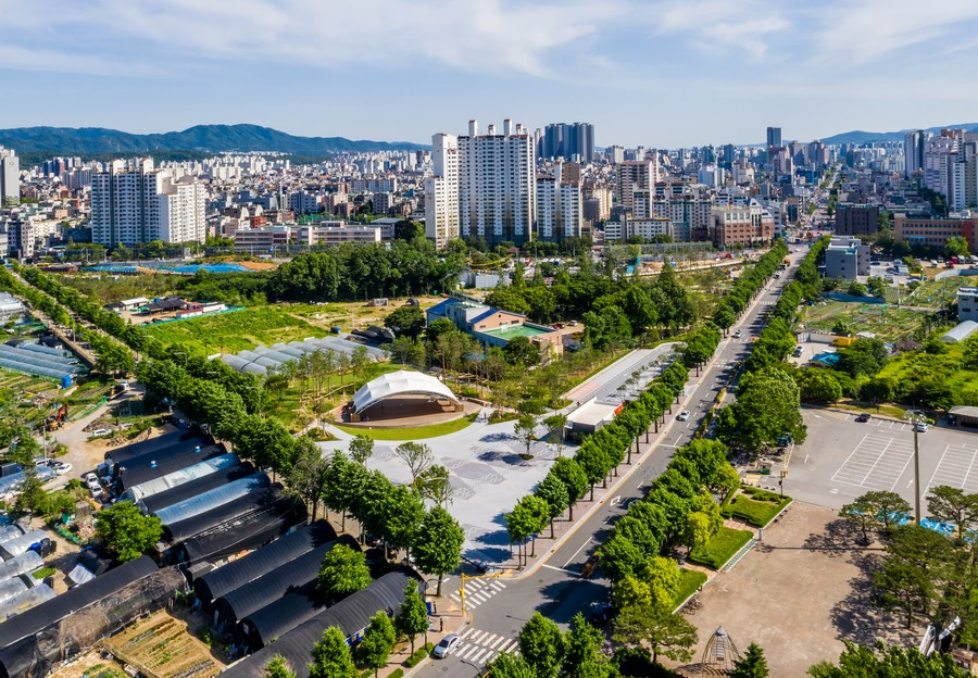 Discover Amsa History Park: A Journey Back to Korea’s Ancient Past