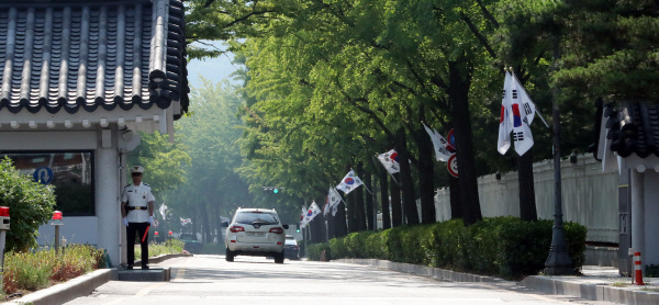 Discover the Charm of Cheongwadae Road (The Road in Front of the Blue House)